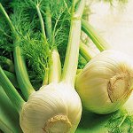 Fenchel für Neugeborene