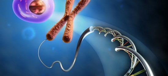 Karyotyping Ehepartner, oder Wie man die Geburt eines gesunden Babys planen