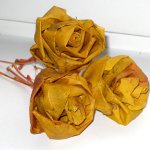 Herbstliches Handwerk