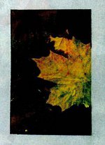 Herbstliches Handwerk