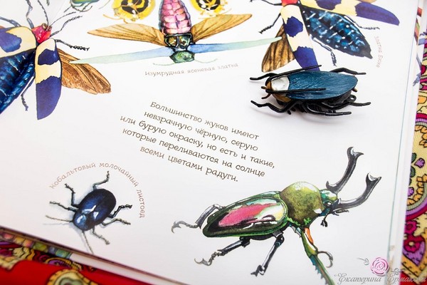 Käfer, Küken, Schmetterlinge. Wir studieren die Natur gemeinsam mit Kindern