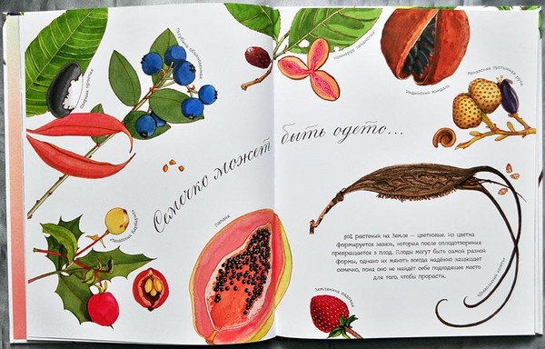 Käfer, Küken, Schmetterlinge. Wir studieren die Natur gemeinsam mit Kindern