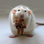 Krankheiten von Ratten