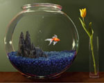 Wie wähle ich ein Aquarium? Memo für Anfänger