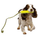 Arbeitet den Hund. Aport!
