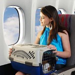 Transport von Tieren im Flugzeug