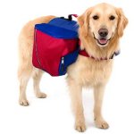 Rucksack für einen Hund Rucksack für einen Hund