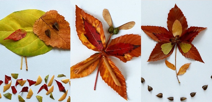 Applikation aus Herbstlaub für den Kindergarten und 1-2 Klassen der Schule, Meisterkurse mit Foto und Video