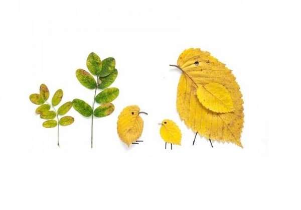 Applikation aus Herbstlaub für den Kindergarten und 1-2 Klassen der Schule, Meisterkurse mit Foto und Video