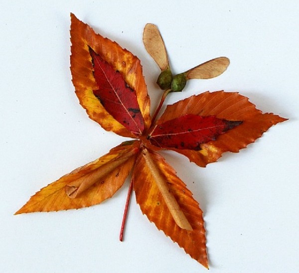 Applikation aus Herbstlaub für den Kindergarten und 1-2 Klassen der Schule, Meisterkurse mit Foto und Video