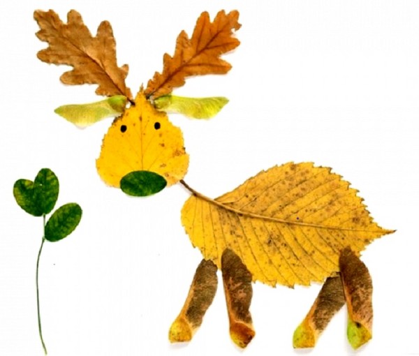Applikation aus Herbstlaub für den Kindergarten und 1-2 Klassen der Schule, Meisterkurse mit Foto und Video