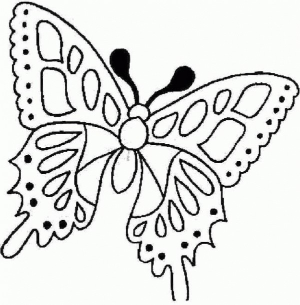 Wir machen einen Schmetterling aus Papier mit unseren eigenen Händen Wir machen einen Schmetterling aus Papier mit unseren eigenen Händen