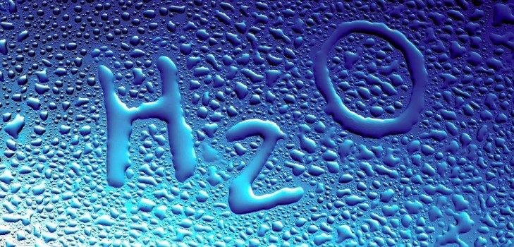 Was kann man aus dem Wasser machen: Wir machen Lizuna