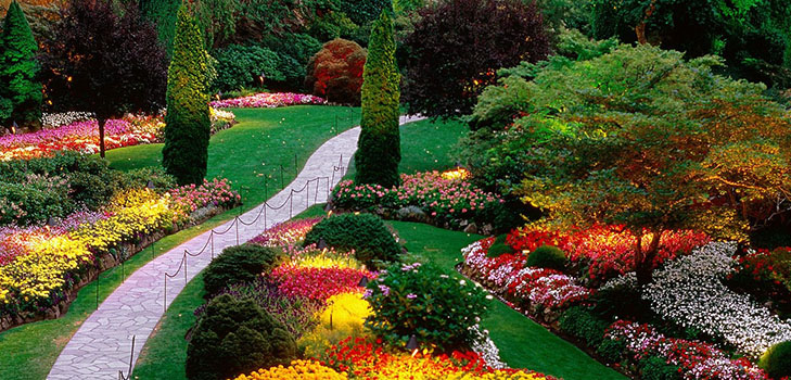 Schöne Blumen für ein Blumenbeet