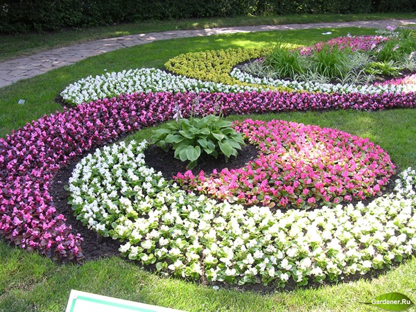 Schöne Blumen für ein Blumenbeet
