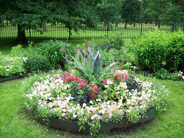 Schöne Blumen für ein Blumenbeet
