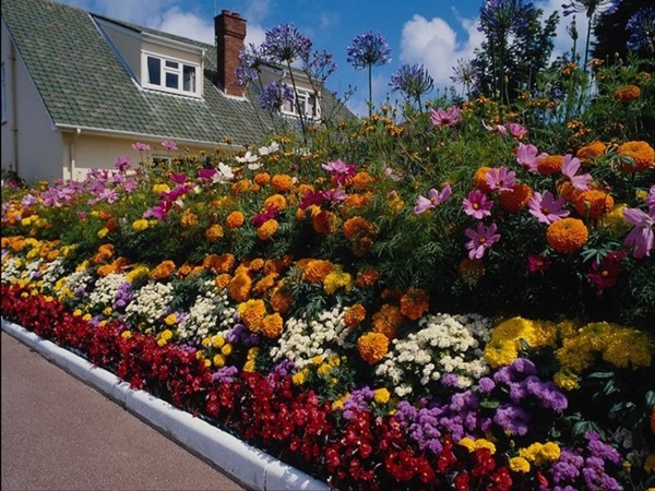 Schöne Blumen für ein Blumenbeet
