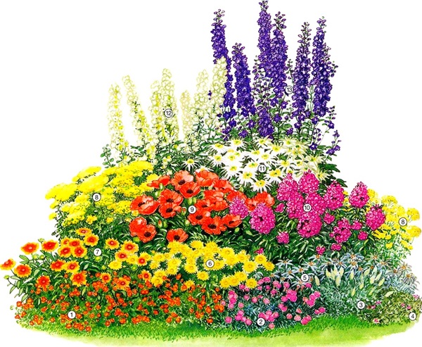 Schöne Blumen für ein Blumenbeet