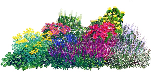 Schöne Blumen für ein Blumenbeet