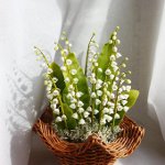 Blumen aus kaltem Porzellan