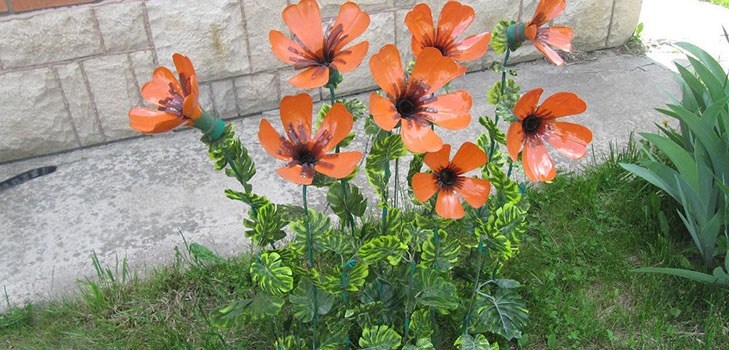 Blumen aus Plastikflaschen: eine Meisterklasse für die Herstellung von Kunsthandwerk mit eigenen Händen