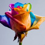 Blumen für den 8. März: Originale gemalte Blumensträuße