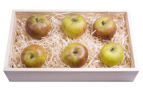 Wie hält man Äpfel im Winter zu Hause