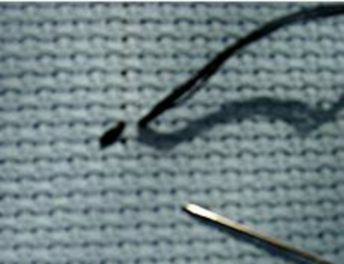 Tapestry Stitch: Meisterklasse der Stickerei