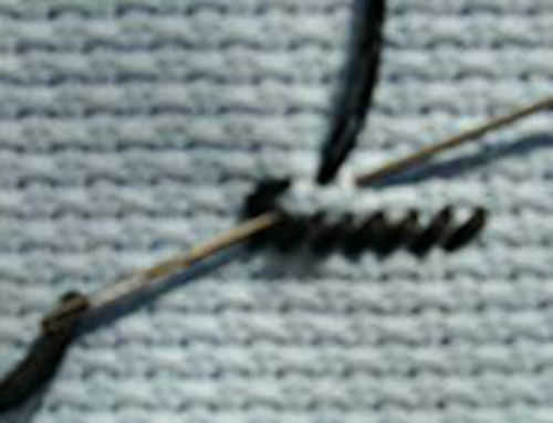 Tapestry Stitch: Meisterklasse der Stickerei