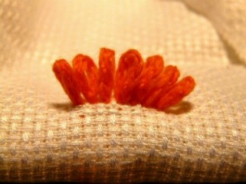 Tapestry Stitch: Meisterklasse der Stickerei