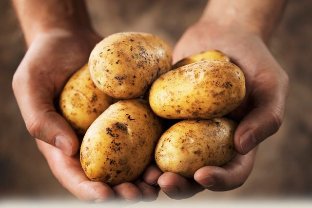 Wie man Kartoffeln im Winter speichert