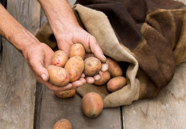 Wie man Kartoffeln im Winter speichert