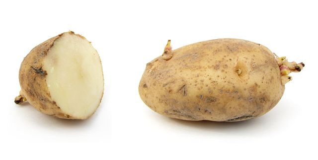 Wie man Kartoffeln im Winter speichert