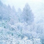Wie kann man den Winter fotografieren? Wie kann man den Winter fotografieren?
