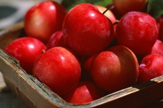 Wie man Äpfel zuhause für den Winter speichert. Wie man Äpfel im Kühlschrank, Keller aufbewahrt