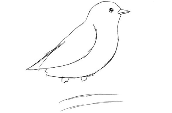 Wie man einen Vogel in Stufen mit einem Bleistift zeichnet