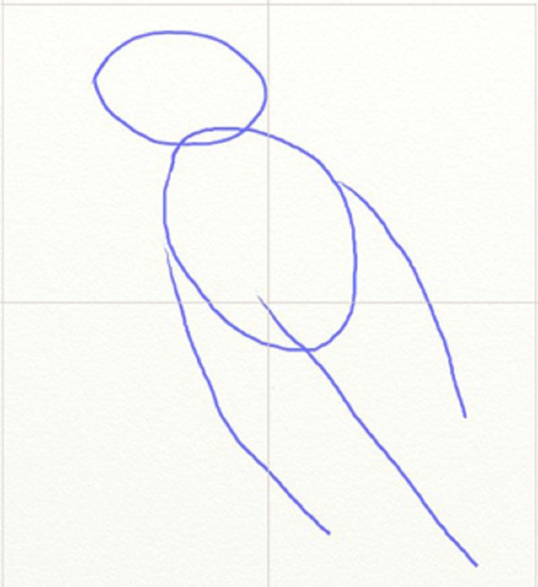 Wie man einen Vogel in Stufen mit einem Bleistift zeichnet