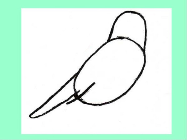 Wie man einen Vogel in Stufen mit einem Bleistift zeichnet