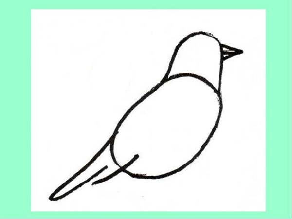 Wie man einen Vogel in Stufen mit einem Bleistift zeichnet