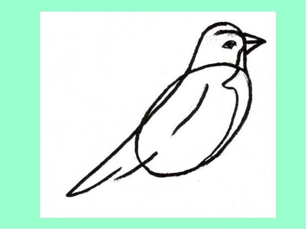 Wie man einen Vogel in Stufen mit einem Bleistift zeichnet