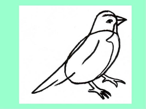 Wie man einen Vogel in Stufen mit einem Bleistift zeichnet