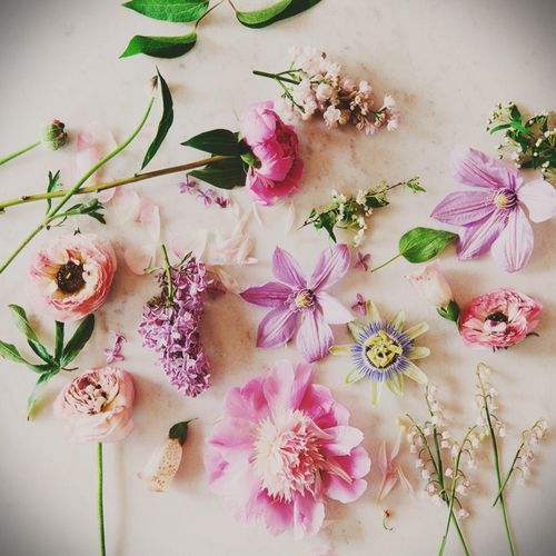 Wie man Blumen für ein Herbarium trocknet