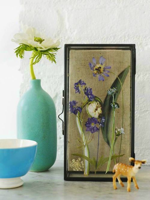 Wie man Blumen für ein Herbarium trocknet