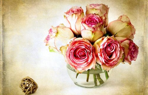 Wie man Blumen für ein Herbarium trocknet