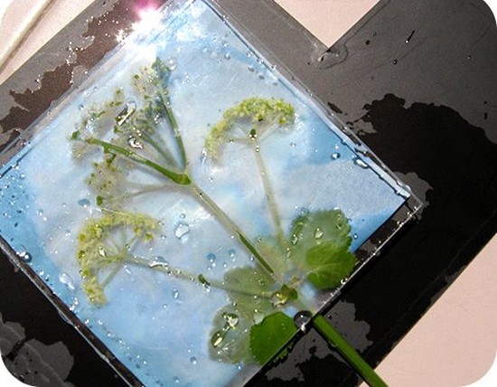 Erlernt, ein Herbarium und ein Album für ihn mit eigenen Händen zu machen