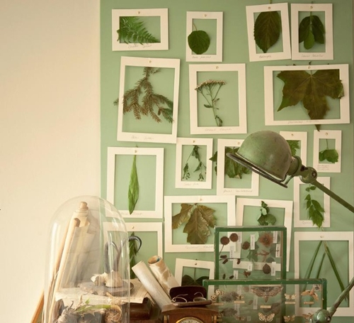 Wie man ein Herbarium von Blättern herstellt und anordnet