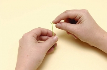 Quilling Blumen aus Papier für Anfänger