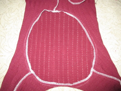Warmes Fleece für einen Hund