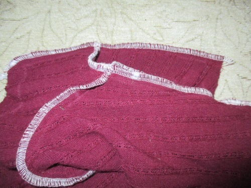 Warmes Fleece für einen Hund