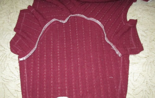 Warmes Fleece für einen Hund